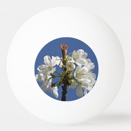 Weißer Frühlingsblut Tischtennisball (Vorderseite)