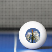 Weißer Frühlingsblut Tischtennisball (Netto)