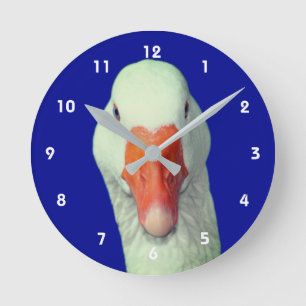 Weißer Gänse Gesicht Süßes Tier Runde Wanduhr