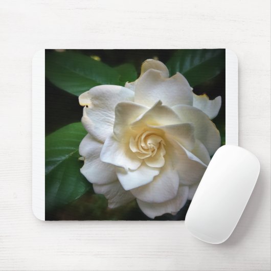 Weißer Gardenia Mousepad (Mit Mouse)