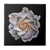 Weißer Garten Schwarzer Hintergrund Fliese (Vorderseite)