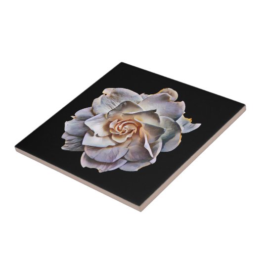 Weißer Garten Schwarzer Hintergrund Fliese (Seite)