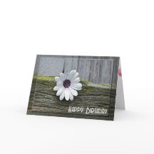 Weißer Geburtstag auf Holz