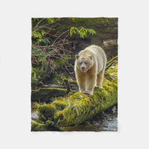 Weißer Geistbär British Columbia, Kanada Fleecedecke