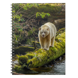 Weißer Geistbär British Columbia, Kanada Notizblock