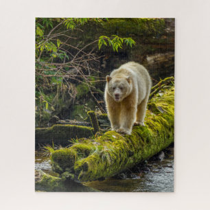 Weißer Geistbär British Columbia, Kanada Puzzle