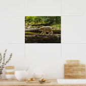 Weißer Geistbär jagt Poster (Küche)