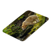 Weißer Geistbär Magnet (Linke Seite)