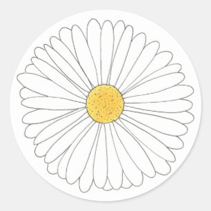 Weißer Gelber Daisy Blossom Blumengarten Frühjahr Runder Aufkleber