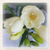 weißer gelber Freesia Glasuntersetzer (Vorderseite)