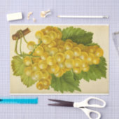 Weißer Gelber Weintraum Weintrauben Seidenpapier (Handwerk)