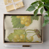 Weißer Gelber Weintraum Weintrauben Seidenpapier (Geschenk)