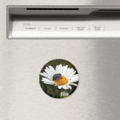 Weißer gepunkteter Käfer-Zauber Magnet (In Situ (Geschirrspüler))