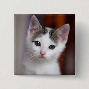 Weißer gepunkteter Kitty Button