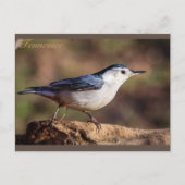 Weißer, gerösteter Nuthatch Tennessee Postkarte (Vorderseite)