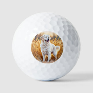 Weißer Golden Retriever Hund Golfball