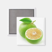 Weißer Grapefruit Magnet (Vorderseite/Rückseite)