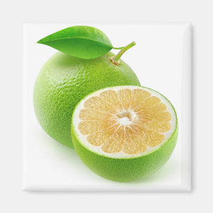 Weißer Grapefruit Magnet