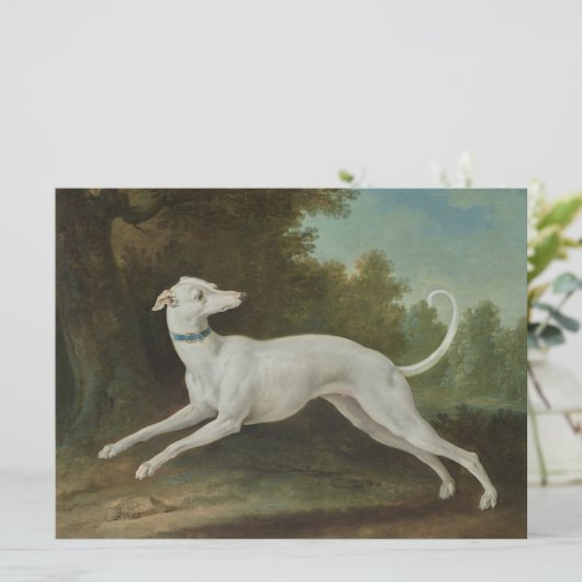 Weißer Grauhund Karte (Stehend Vorderseite)