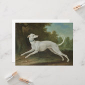 Weißer Grauhund Karte (Vorderseite/Rückseite Beispiel)