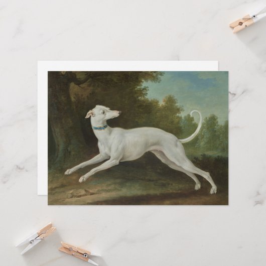 Weißer Grauhund Karte (Vorderseite/Rückseite Beispiel)
