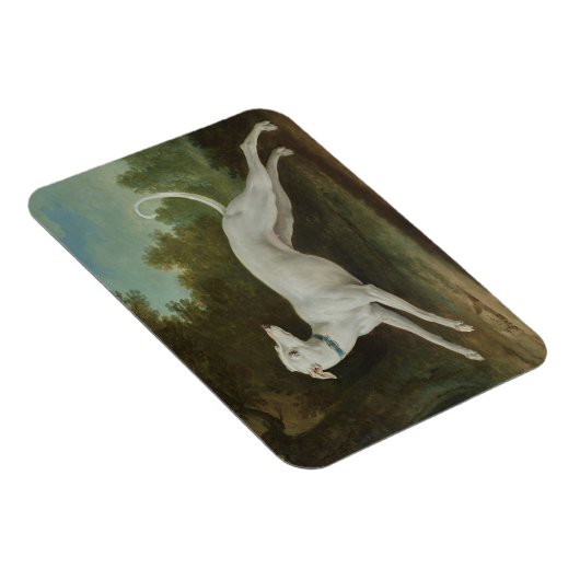 Weißer Grauhund Magnet (Rechte Seite)