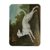 Weißer Grauhund Magnet (Vertikal)