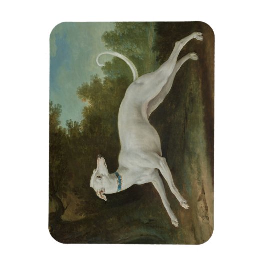 Weißer Grauhund Magnet (Vertikal)