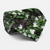 weißer Groß-Geblühter Trillium (Trillium Krawatte (Gerollt)