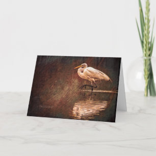 Weißer Großer Egrenvogel im Wasser Karte