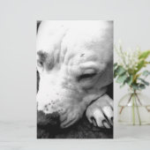 Weißer Grubenbull Briefpapier (Stehend Vorderseite)