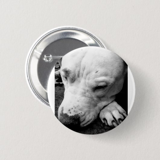 Weißer Grubenbull Button (Vorne & Hinten)