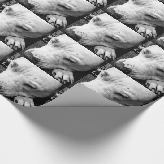 Weißer Grubenbull Geschenkpapier (Ecke)