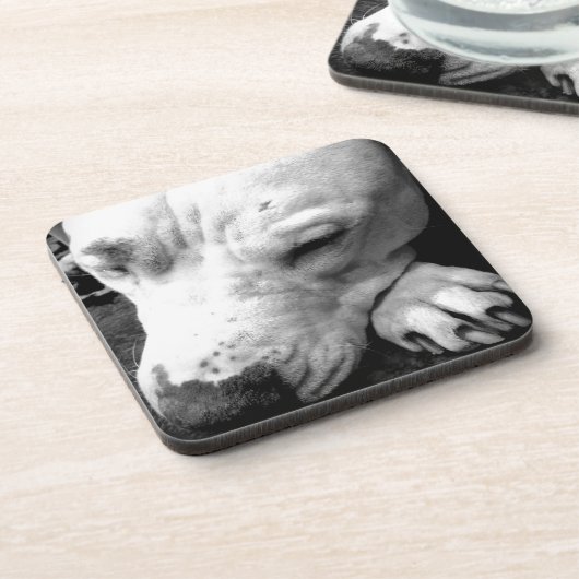 Weißer Grubenbull Getränkeuntersetzer (Linke Seite)