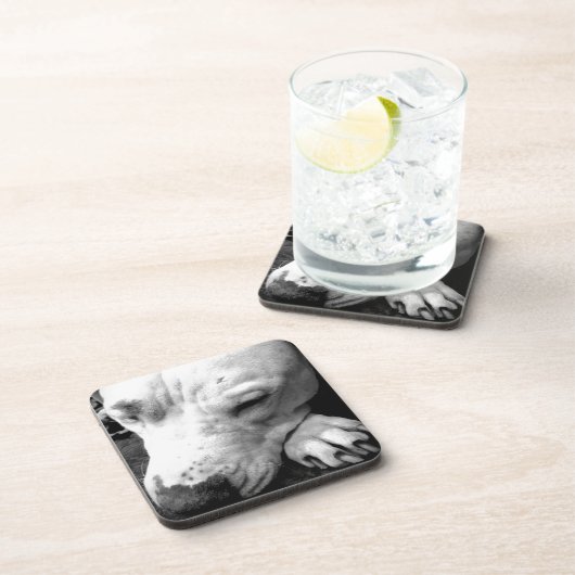 Weißer Grubenbull Getränkeuntersetzer (Rechte Seite)