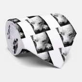 Weißer Grubenbull Krawatte (Gerollt)