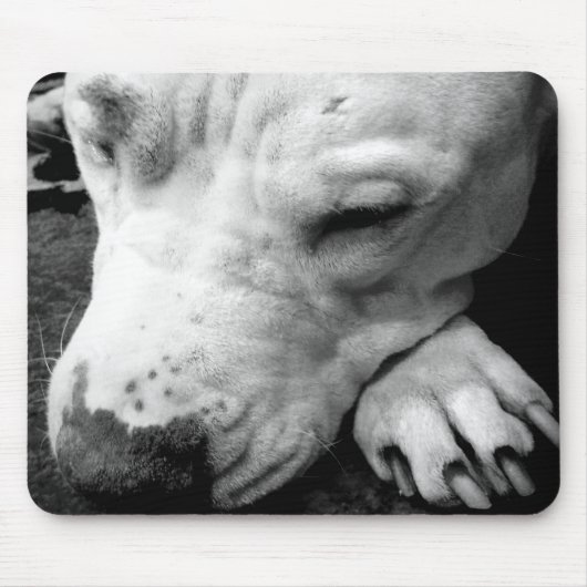 Weißer Grubenbull Mousepad (Vorne)