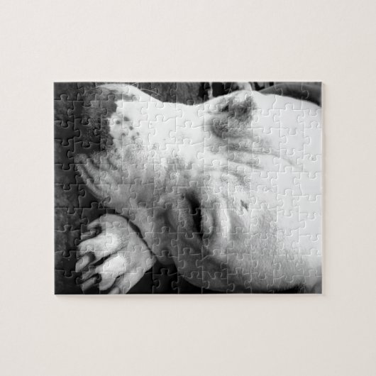 Weißer Grubenbull Puzzle (Horizontal)