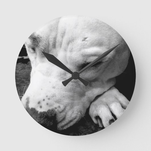 Weißer Grubenbull Runde Wanduhr (Vorderseite)