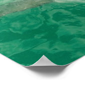 Weißer Hai1 Poster (Ecke)