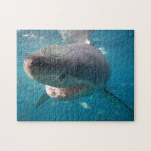 Weißer Hai, 252 Stück Puzzle