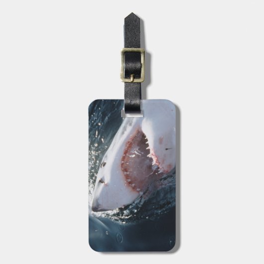 Weißer Hai auf See Gepäckanhänger (Vorderseite vertikal)