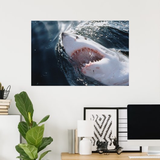 Weißer Hai auf See Poster (Heimbüro)