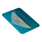 Weißer Hai - Front VIew Magnet (Rechte Seite)