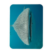 Weißer Hai - Front VIew Magnet (Vertikal)