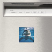 Weißer Hai Magnet (In Situ (Geschirrspüler))