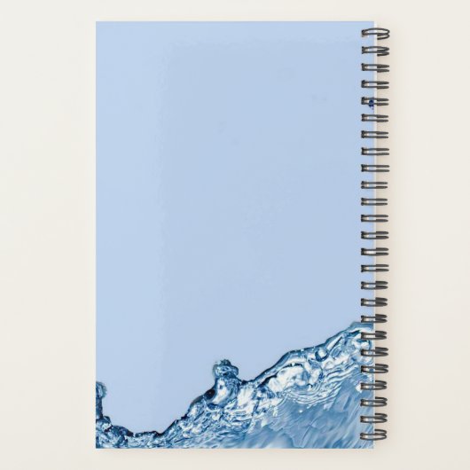 Weißer Hai Planer (Rückseite)