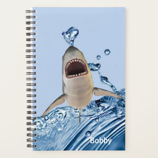 Weißer Hai Planer (Vorderseite)