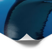 Weißer Hai Poster (Ecke)