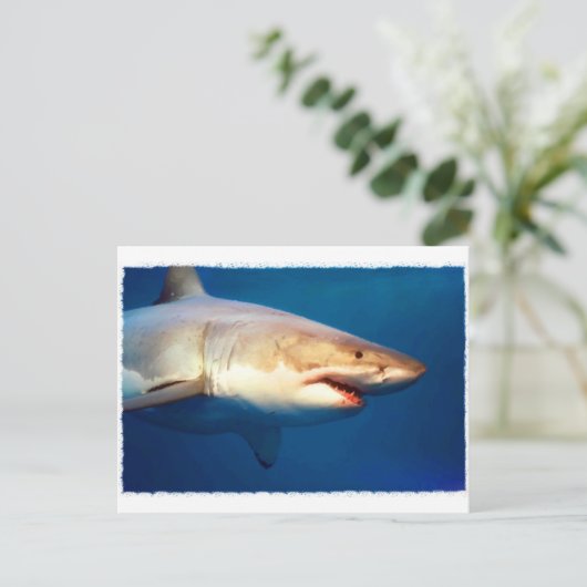 Weißer Hai Postkarte (Stehend Vorderseite)